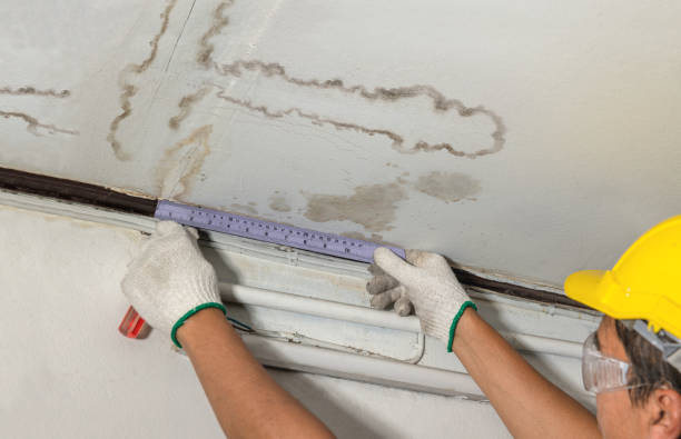 Reliable Basement Water Removal contractor in Port Angeles, WA by Water Damage Irwin